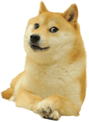 DOGE